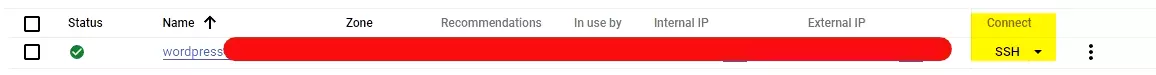 SSH to Wordpress host in GCP dashboard.