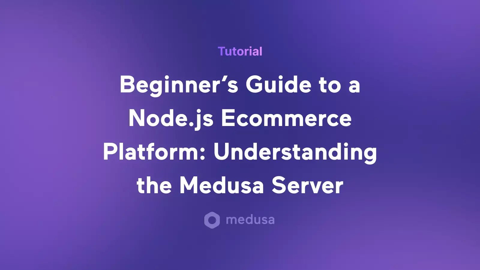 This article will take you through Medusa's architecture and give you a general overview of the Medusa server to better understand how it works.