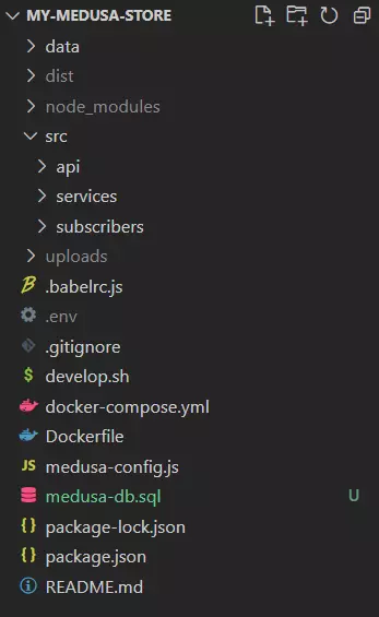 Inside my-medusa-store folder.